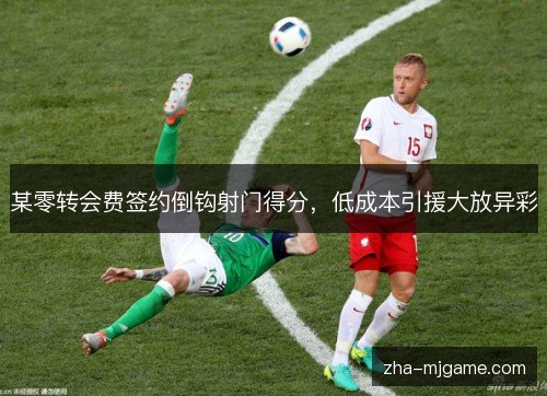 某零转会费签约倒钩射门得分，低成本引援大放异彩